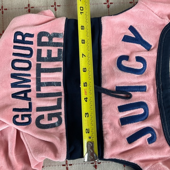 Doggy Couture Pink Velour Tracksuit Vtg Rare Juicy Couture Dog Outfit Authentic - Picture 11 of 12